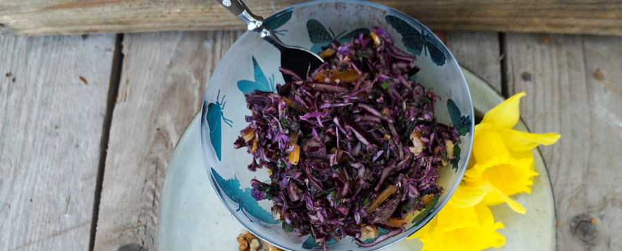 Rød kålsalat med abrikos, birkes og valnød